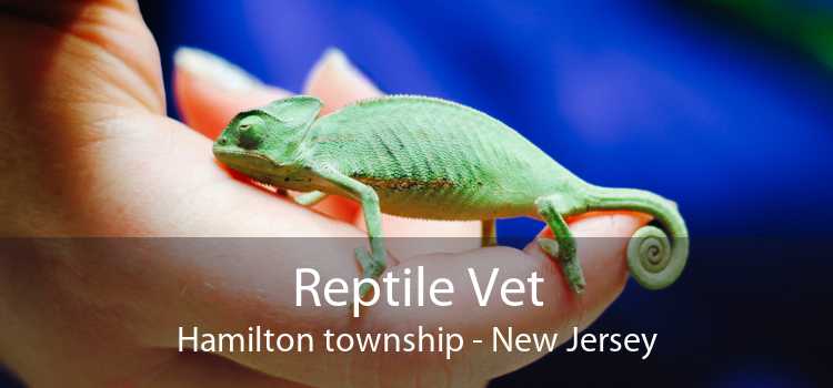 Reptile Vet Hamilton township - New Jersey