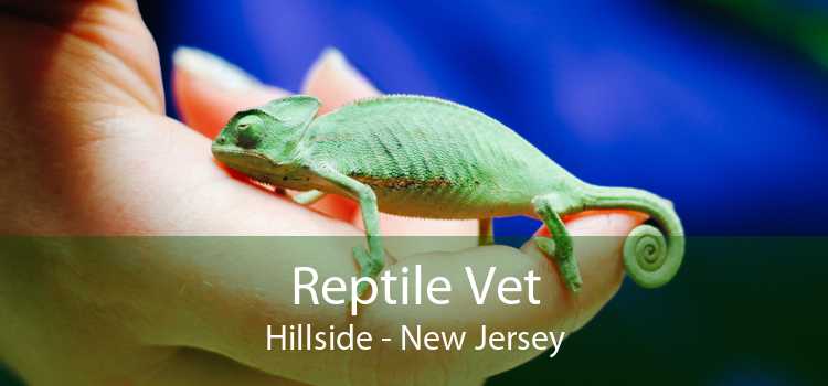 Reptile Vet Hillside - New Jersey