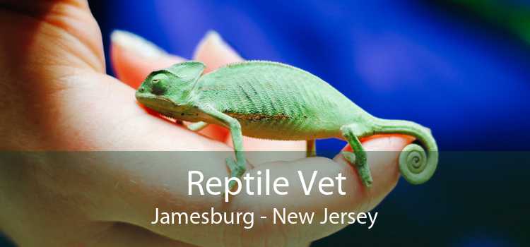 Reptile Vet Jamesburg - New Jersey