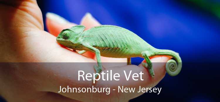 Reptile Vet Johnsonburg - New Jersey