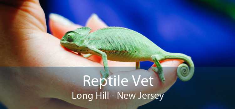 Reptile Vet Long Hill - New Jersey