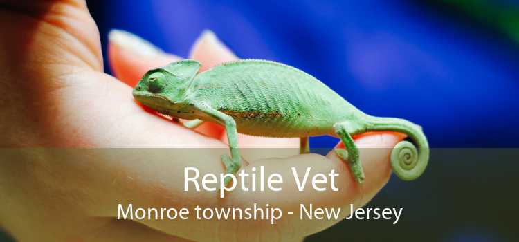 Reptile Vet Monroe township - New Jersey