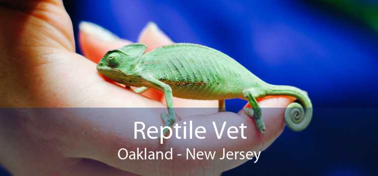 Reptile Vet Oakland - New Jersey