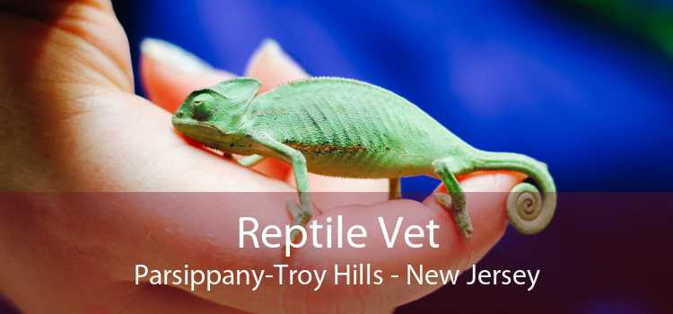 Reptile Vet Parsippany-Troy Hills - New Jersey