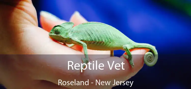 Reptile Vet Roseland - New Jersey