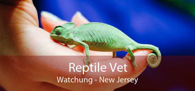 Reptile Vet Watchung - New Jersey