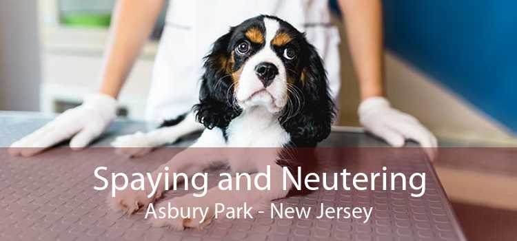 Spaying and Neutering Asbury Park - New Jersey