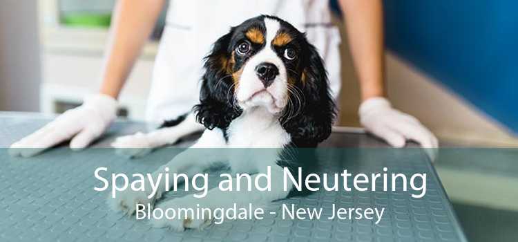 Spaying and Neutering Bloomingdale - New Jersey