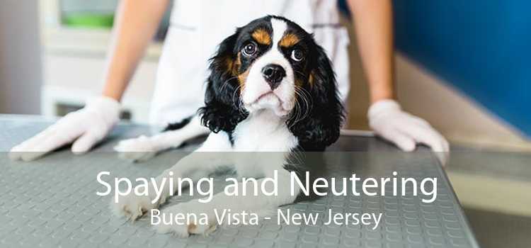 Spaying and Neutering Buena Vista - New Jersey