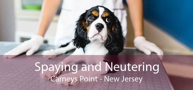 Spaying and Neutering Carneys Point - New Jersey