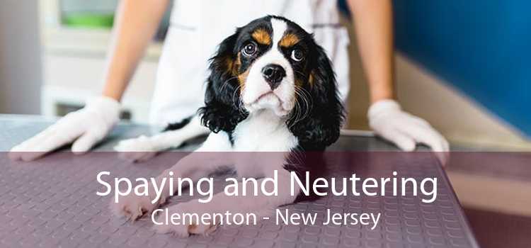 Spaying and Neutering Clementon - New Jersey