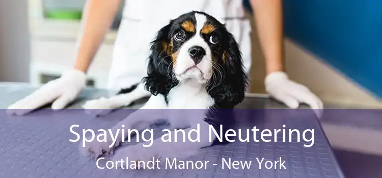 Spaying and Neutering Cortlandt Manor - New York