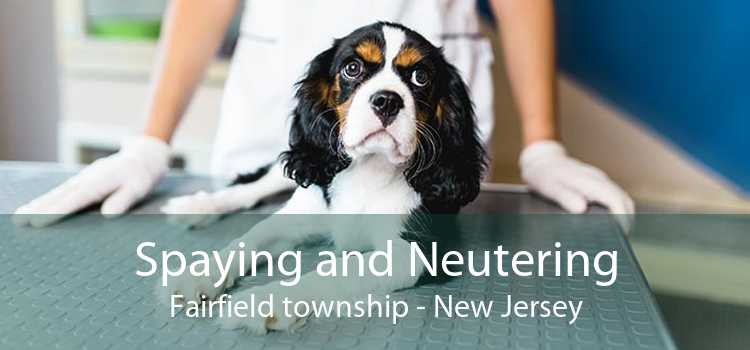 Spaying and Neutering Fairfield township - New Jersey