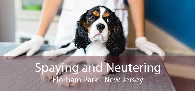 Spaying and Neutering Florham Park - New Jersey