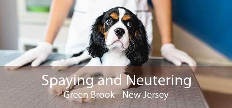 Spaying and Neutering Green Brook - New Jersey