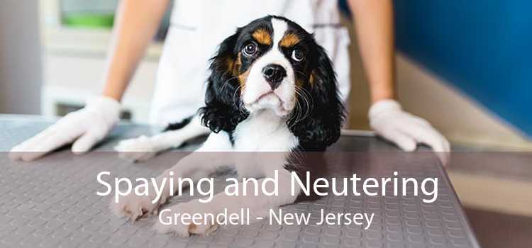 Spaying and Neutering Greendell - New Jersey