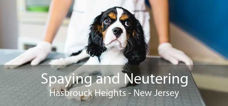 Spaying and Neutering Hasbrouck Heights - New Jersey
