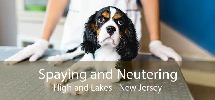 Spaying and Neutering Highland Lakes - New Jersey