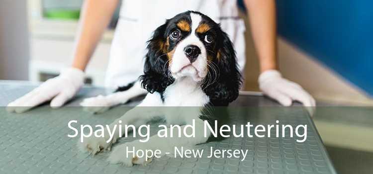 Spaying and Neutering Hope - New Jersey