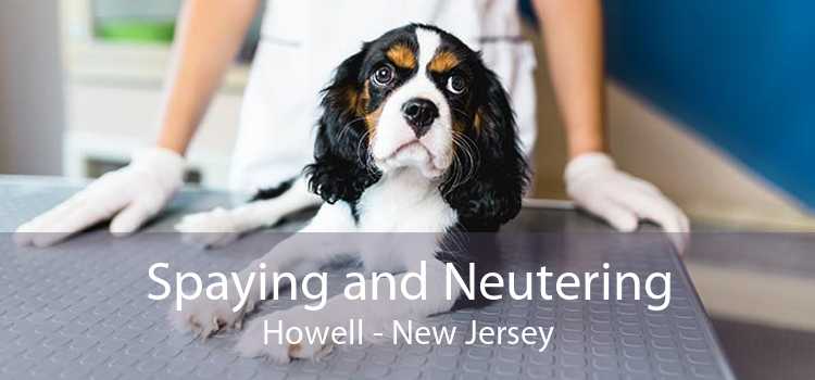 Spaying and Neutering Howell - New Jersey