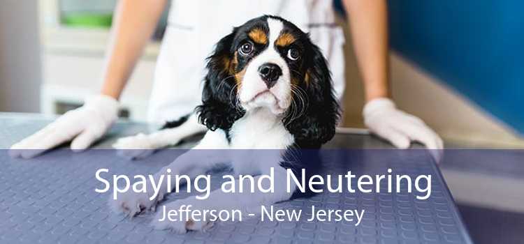 Spaying and Neutering Jefferson - New Jersey