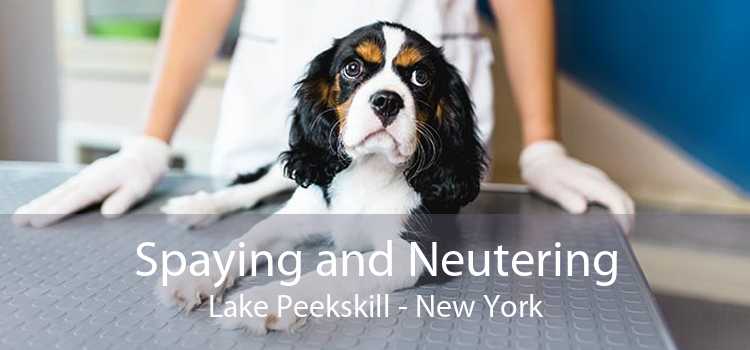 Spaying and Neutering Lake Peekskill - New York