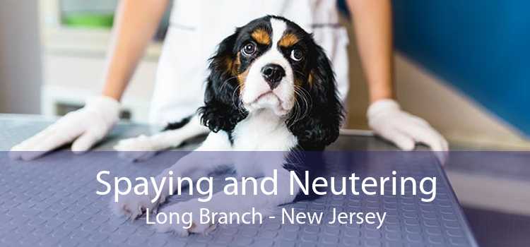 Spaying and Neutering Long Branch - New Jersey