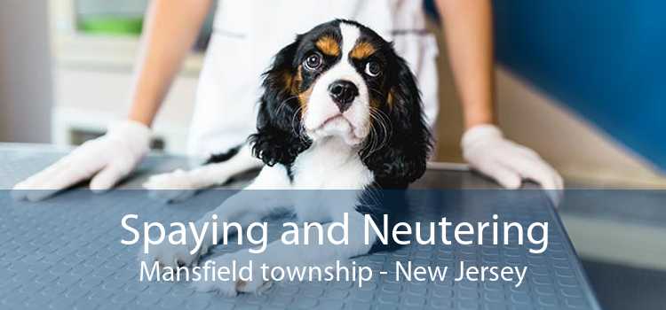 Spaying and Neutering Mansfield township - New Jersey
