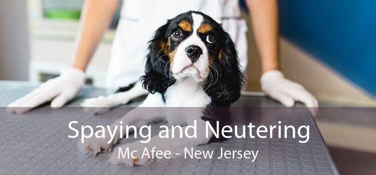 Spaying and Neutering Mc Afee - New Jersey