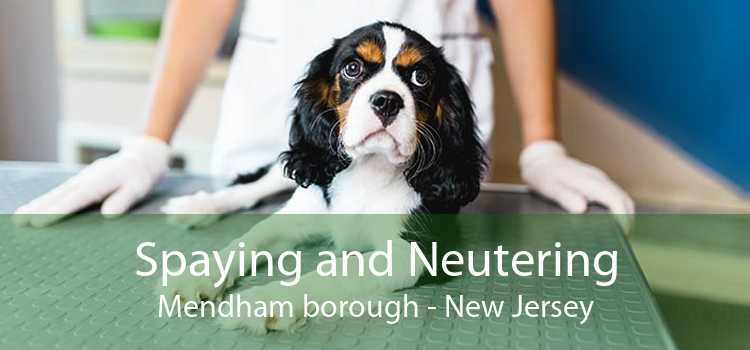 Spaying and Neutering Mendham borough - New Jersey