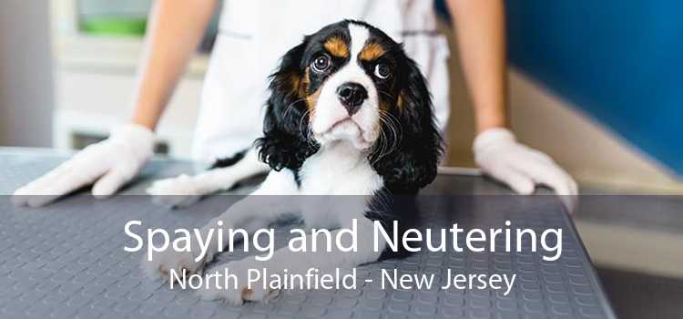 Spaying and Neutering North Plainfield - New Jersey