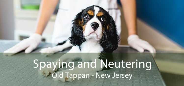 Spaying and Neutering Old Tappan - New Jersey