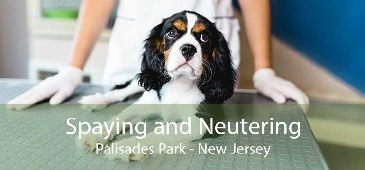 Spaying and Neutering Palisades Park - New Jersey