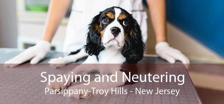 Spaying and Neutering Parsippany-Troy Hills - New Jersey