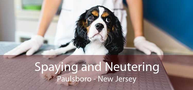 Spaying and Neutering Paulsboro - New Jersey