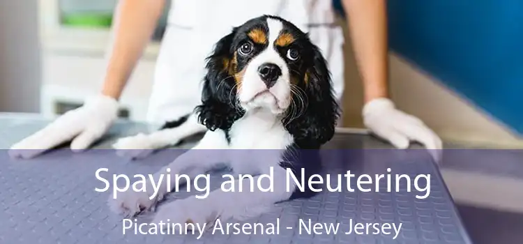 Spaying and Neutering Picatinny Arsenal - New Jersey
