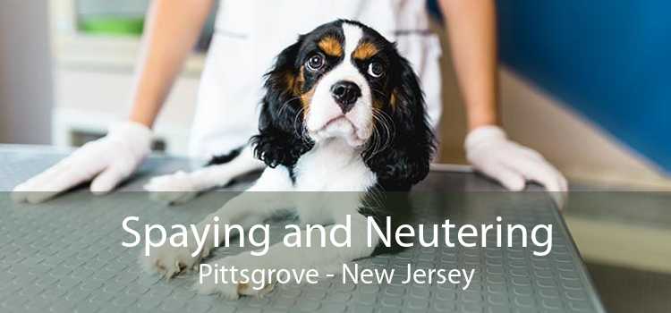 Spaying and Neutering Pittsgrove - New Jersey