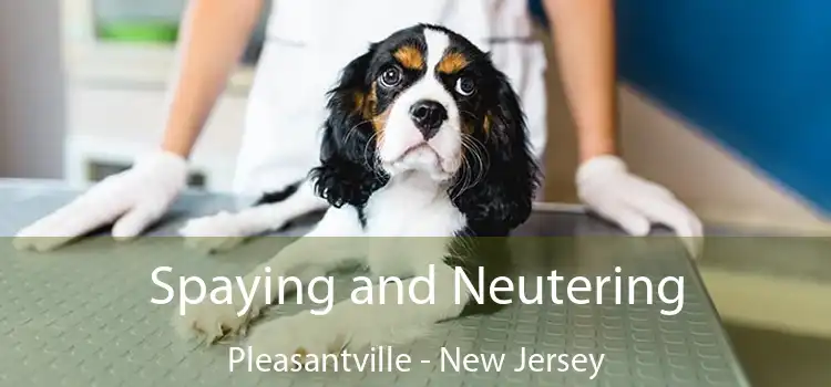 Spaying and Neutering Pleasantville - New Jersey
