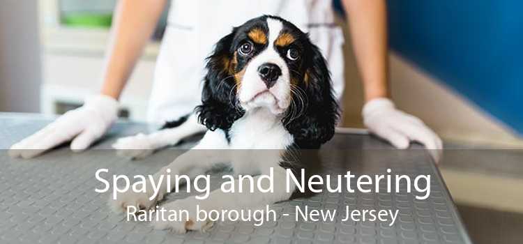 Spaying and Neutering Raritan borough - New Jersey