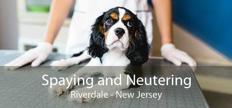 Spaying and Neutering Riverdale - New Jersey