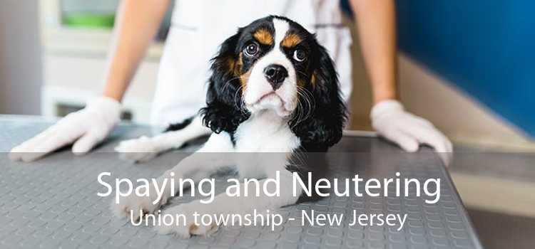 Spaying and Neutering Union township - New Jersey