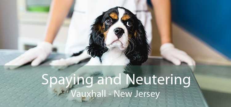 Spaying and Neutering Vauxhall - New Jersey