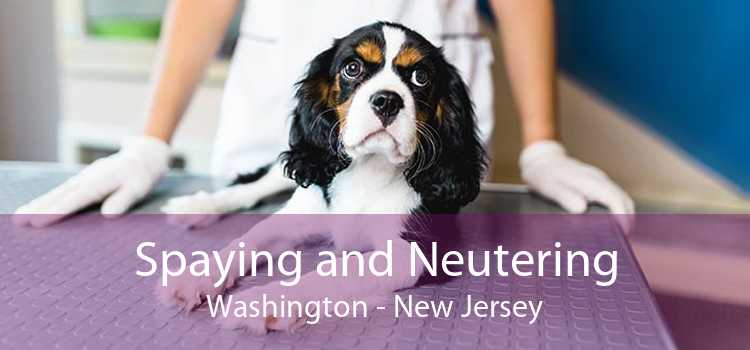 Spaying and Neutering Washington - New Jersey