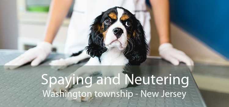 Spaying and Neutering Washington township - New Jersey