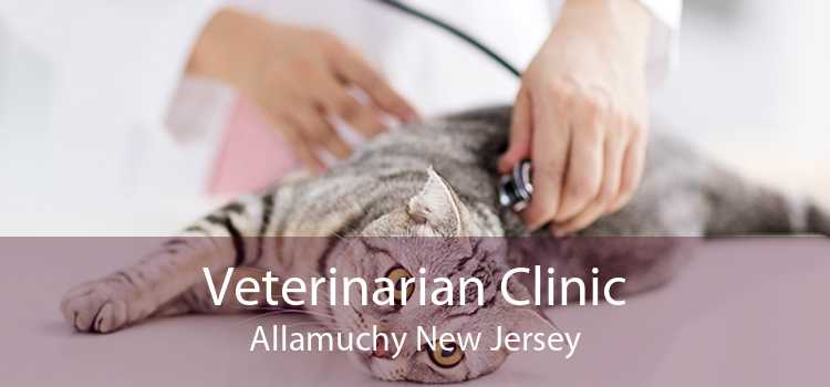 Veterinarian Clinic Allamuchy New Jersey