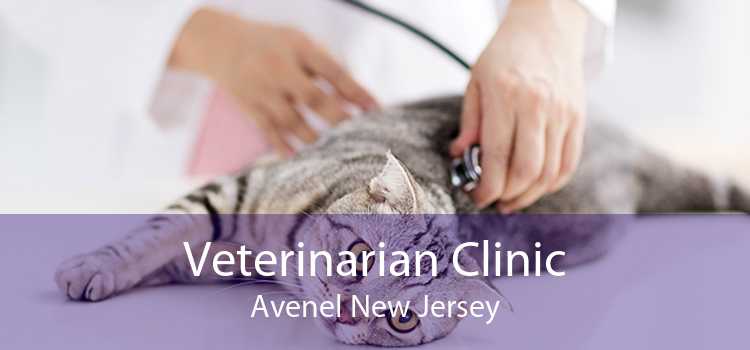 Veterinarian Clinic Avenel New Jersey