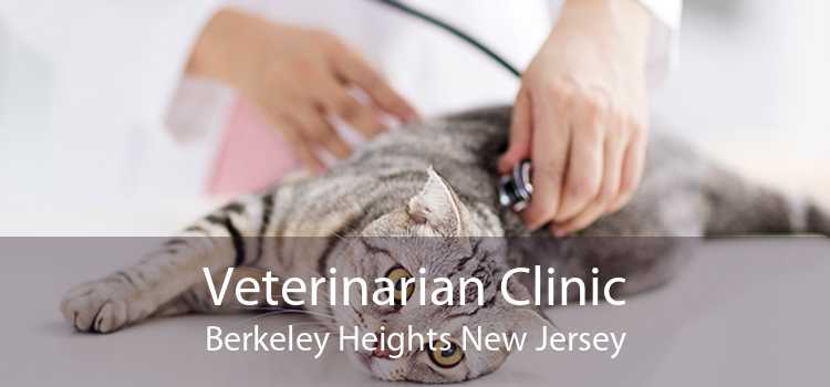 Veterinarian Clinic Berkeley Heights New Jersey