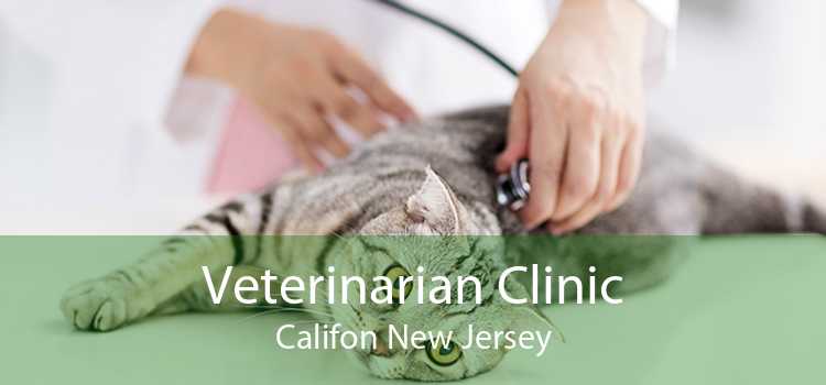Veterinarian Clinic Califon New Jersey