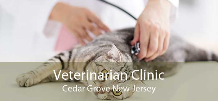 Veterinarian Clinic Cedar Grove New Jersey