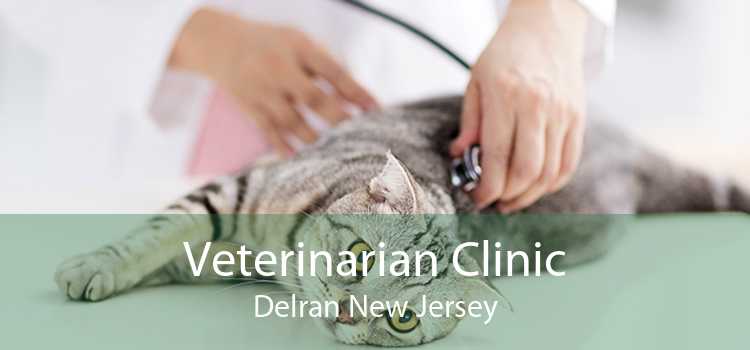 Veterinarian Clinic Delran New Jersey